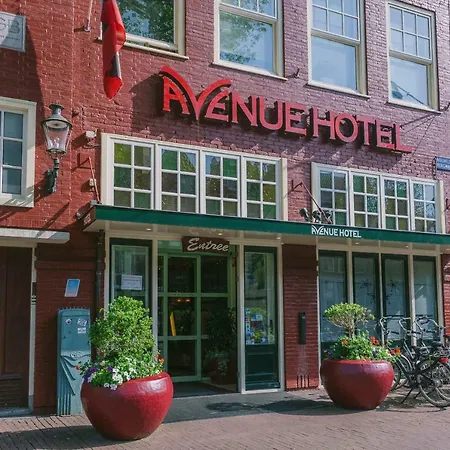 Avenue
