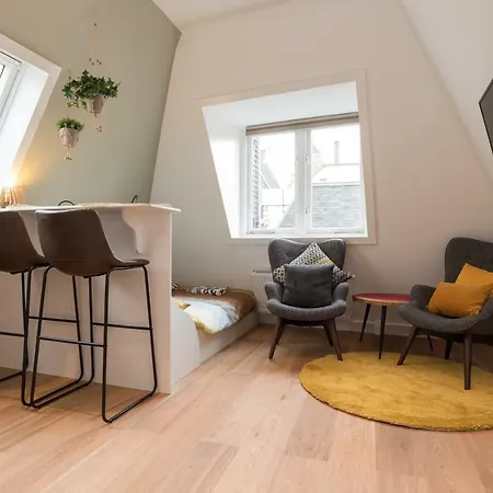 홈스테이 Saint Claire Studio's