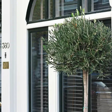 Villa360 3*