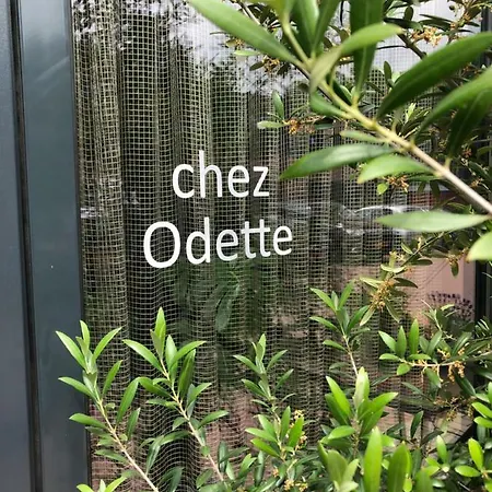 Chez Odette - Free Bikes & Private Car Parking