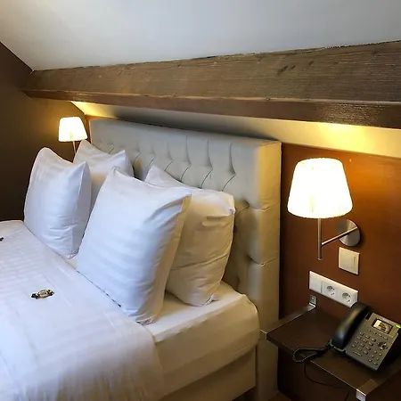Hotel Chasse 4*
