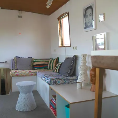 阿姆斯特丹船屋住宿加早餐旅馆 住宿加早餐酒店 阿姆斯特丹