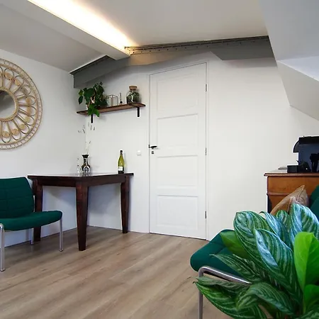 Eco Houseboat بيت ضيافة أمستردام