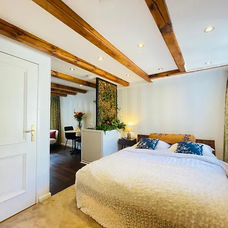 Luxury Suites The Enlightened House Bed & Breakfast *