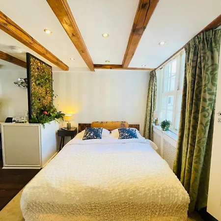Luxury Suites The Enlightened House Bed & Breakfast