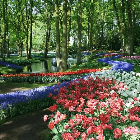 Short Group Park Serviced Ámsterdam