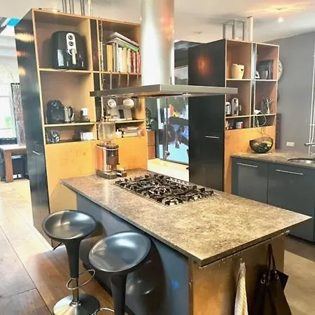 Elegant Penthouse Loft Of 250 M2 In City Centre With Huge Roofgarden 80 M2 *