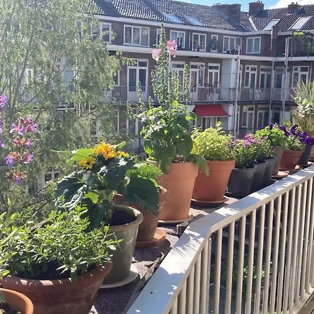 Apartamento Waalstraat 89-2 *