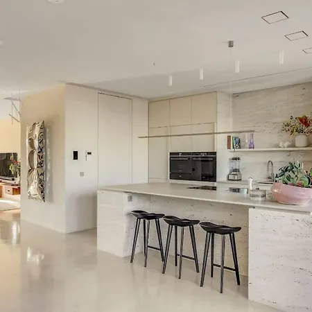 Apartment Penthouse Wonderfully For Rent Amsterdam