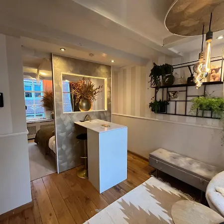 The Enlightened House Luxury *