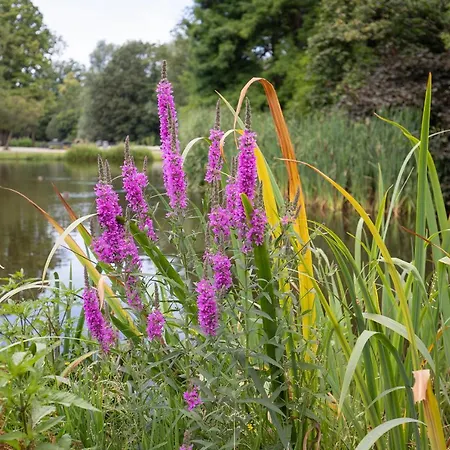 Waldeck Vondelpark 2 Bedroom Bed and breakfast Ámsterdam