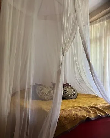 Bohemian Loft Bed & Breakfast