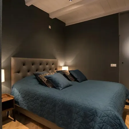 Felix Bed and breakfast Ámsterdam