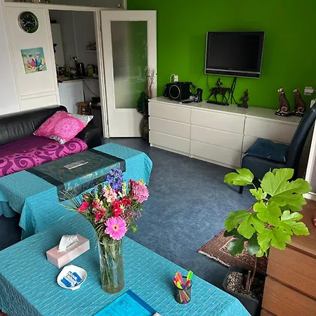 Calypso Bed and Breakfast