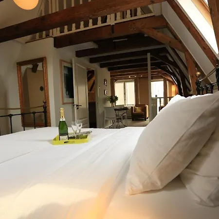 Hotel Frederik Park House 3*