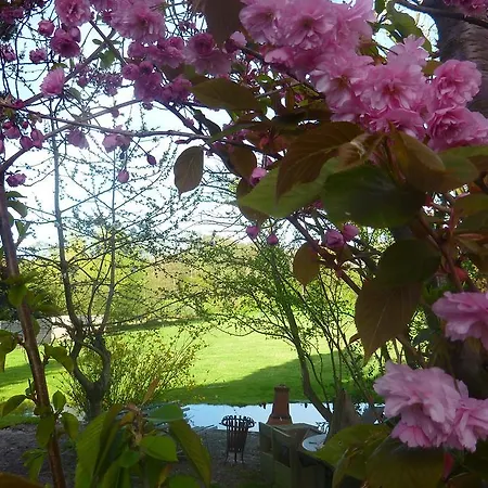 B&B Bloom Frühstückspension
