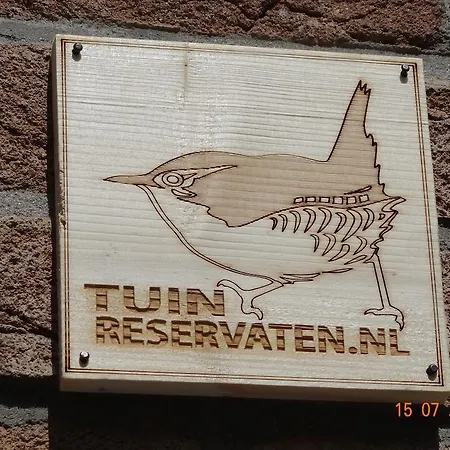 Amsterzonian Ámsterdam
