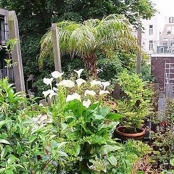 Frederik Park House Amsterdam
