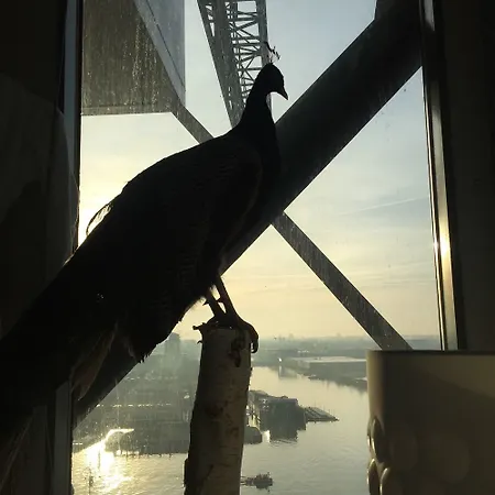 Crane Faralda Ξενοδοχείο