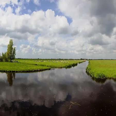 Farmland Ámsterdam