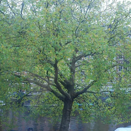 Hotel Nl District Leidseplein 3*