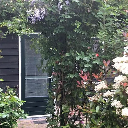 Frühstückspension B&B Bloom Amsterdam