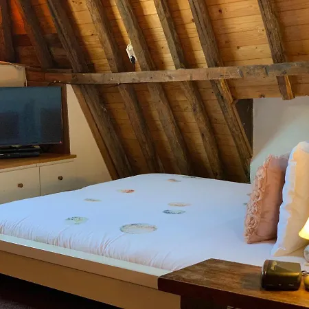 Amsterdam Central Guest House 암스테르담