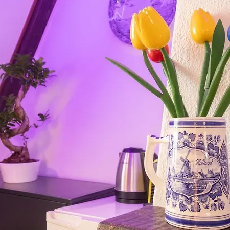 Bed & Breakfast Tulip Of Amsterdam