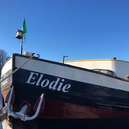מלון Elodie *