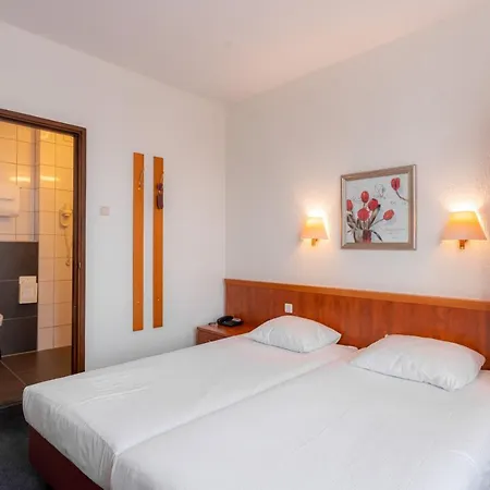 Hotel Owl