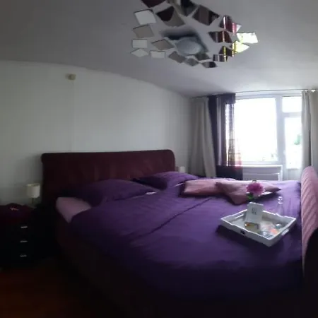 Sunny Guest house