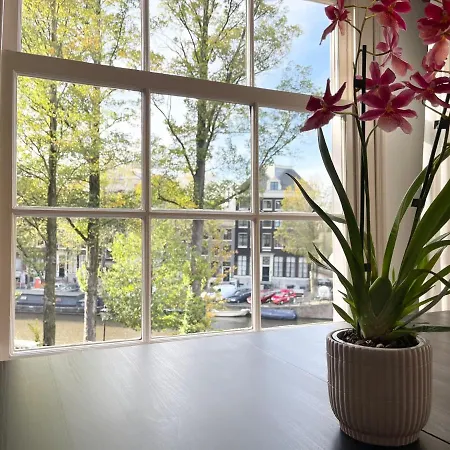 Little Tulip Guest house *