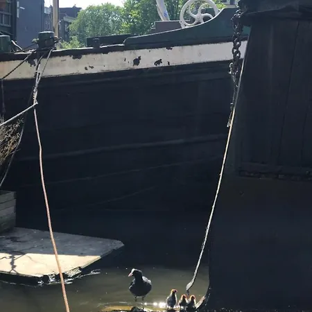 Six * Ámsterdam