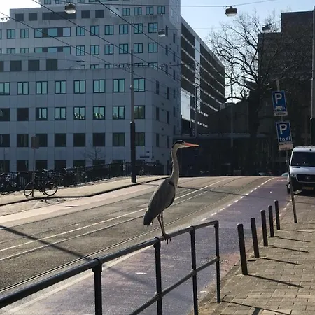 Six * Ámsterdam