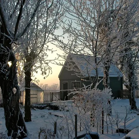 Country * Amsterdam