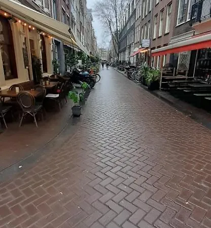 ベッド・アンド・ブレックファスト Charlotte, Not For Parties, Not A Hotel, With Shared Bathroom, No Kitchen