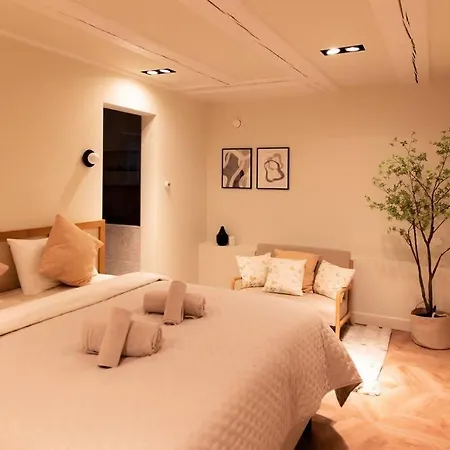 Newly Renovated Luxurious 200 Sqm Loft In Centre 阿姆斯特丹