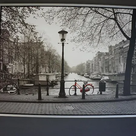 Bed & Breakfast Quarenta Amsterdam