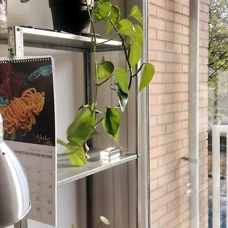 Apartamento Relaxed In East *