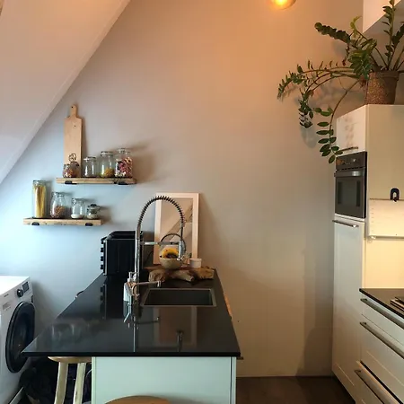 公寓 Cozy With Large Roof Terrace 阿姆斯特丹
