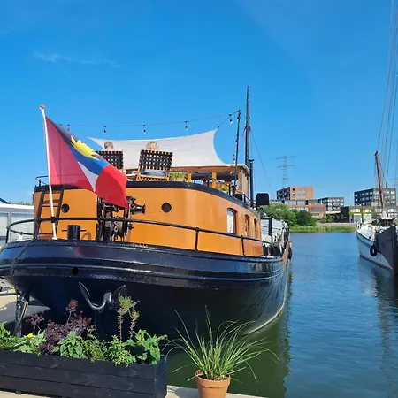 Charmante Kapiteinshut Op Historisch Schip De Hoop *