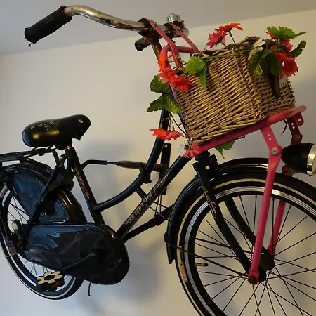 A Flynt Bed and breakfast Ámsterdam
