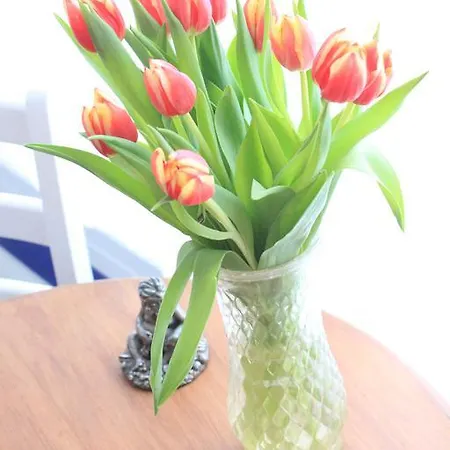 Bed & Breakfast Tulip Of 3*