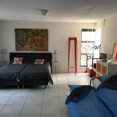 Ibiza לינה וארוחת בוקר אמסטרדם