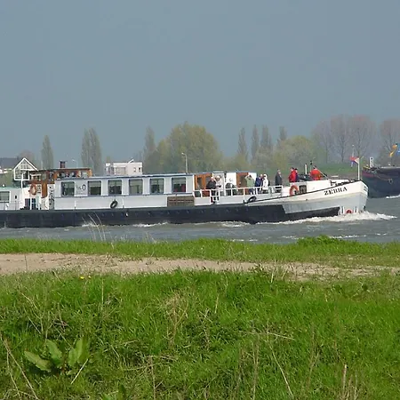 Zebra Amsterdam
