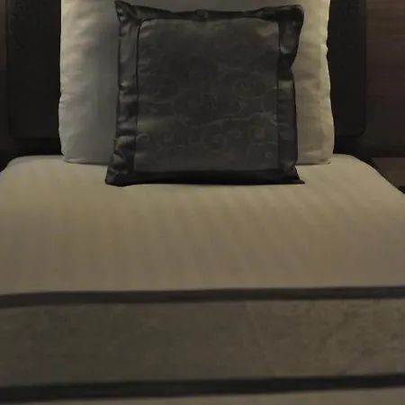 The Concert Hotel 3*