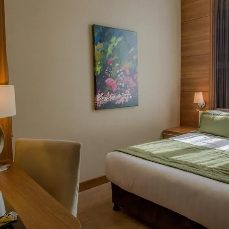 Grand Downtown Hotel 4*