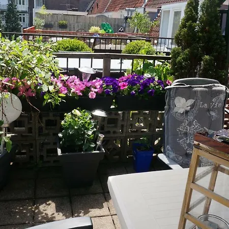 阿姆斯特丹屋顶露台住宿加早餐旅馆