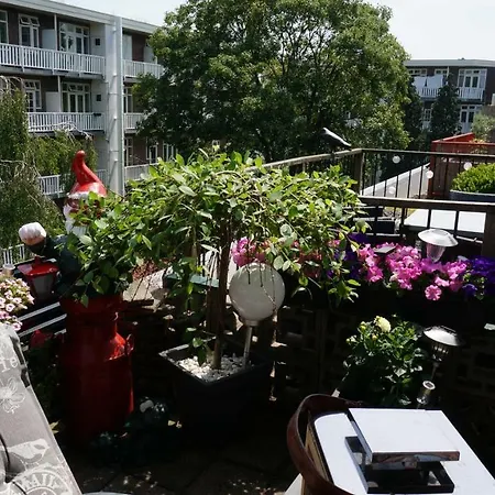 住宿加早餐酒店 阿姆斯特丹屋顶露台住宿加早餐旅馆 2*