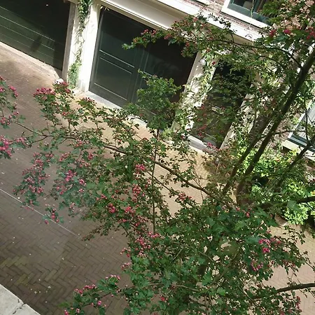 Roomolen * Amsterdam